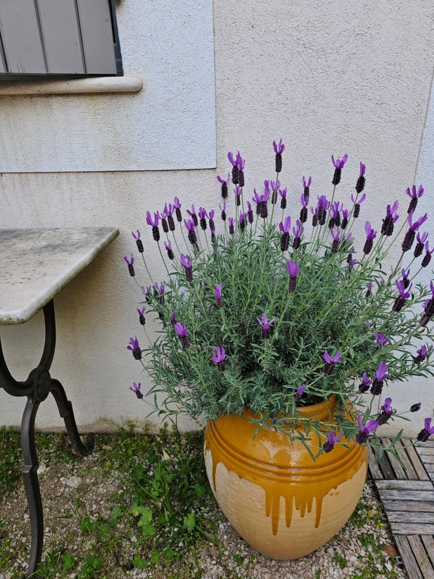 Châteauneuf-lès-Martigues Gite Le Felibre المظهر الخارجي الصورة